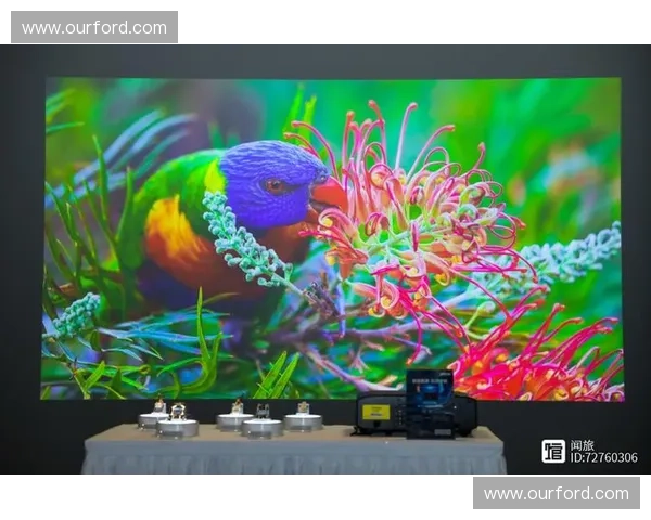 全新直播TV平台打造沉浸互动体验引领未来智能娱乐新潮流